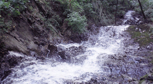 The Best Hikes Near NYC and the Tri-State Area