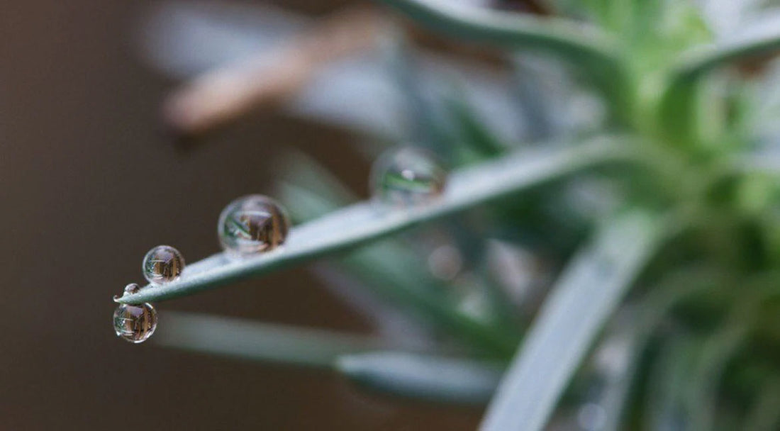 Hydrophobic Nanotech: Reinforced Water-Resistance